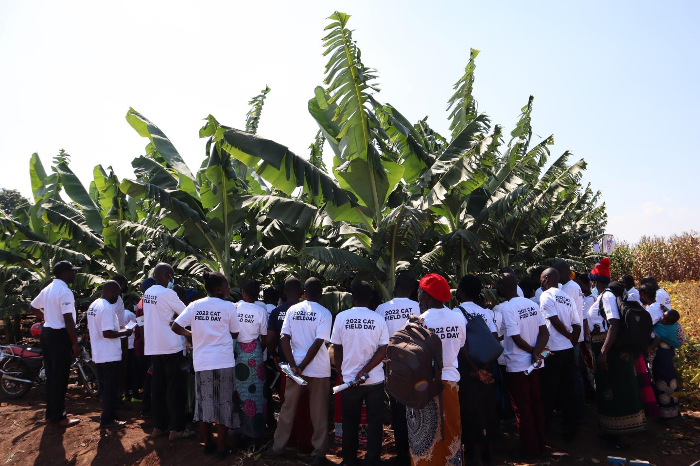 Group of farmers at a field day