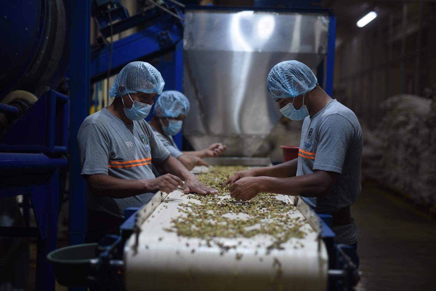 workers checking quality of product in a factory