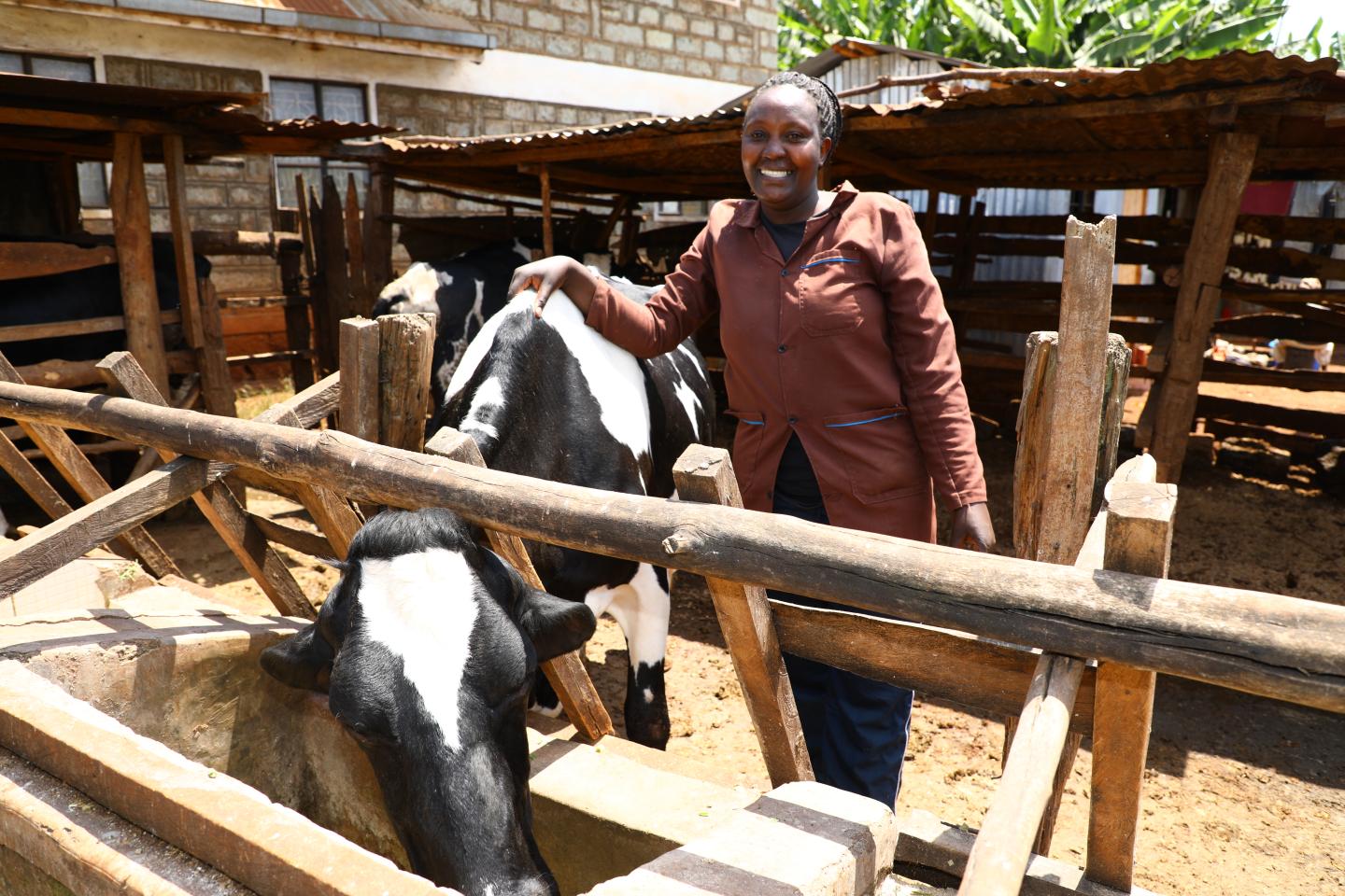 women and her cow in Kenya