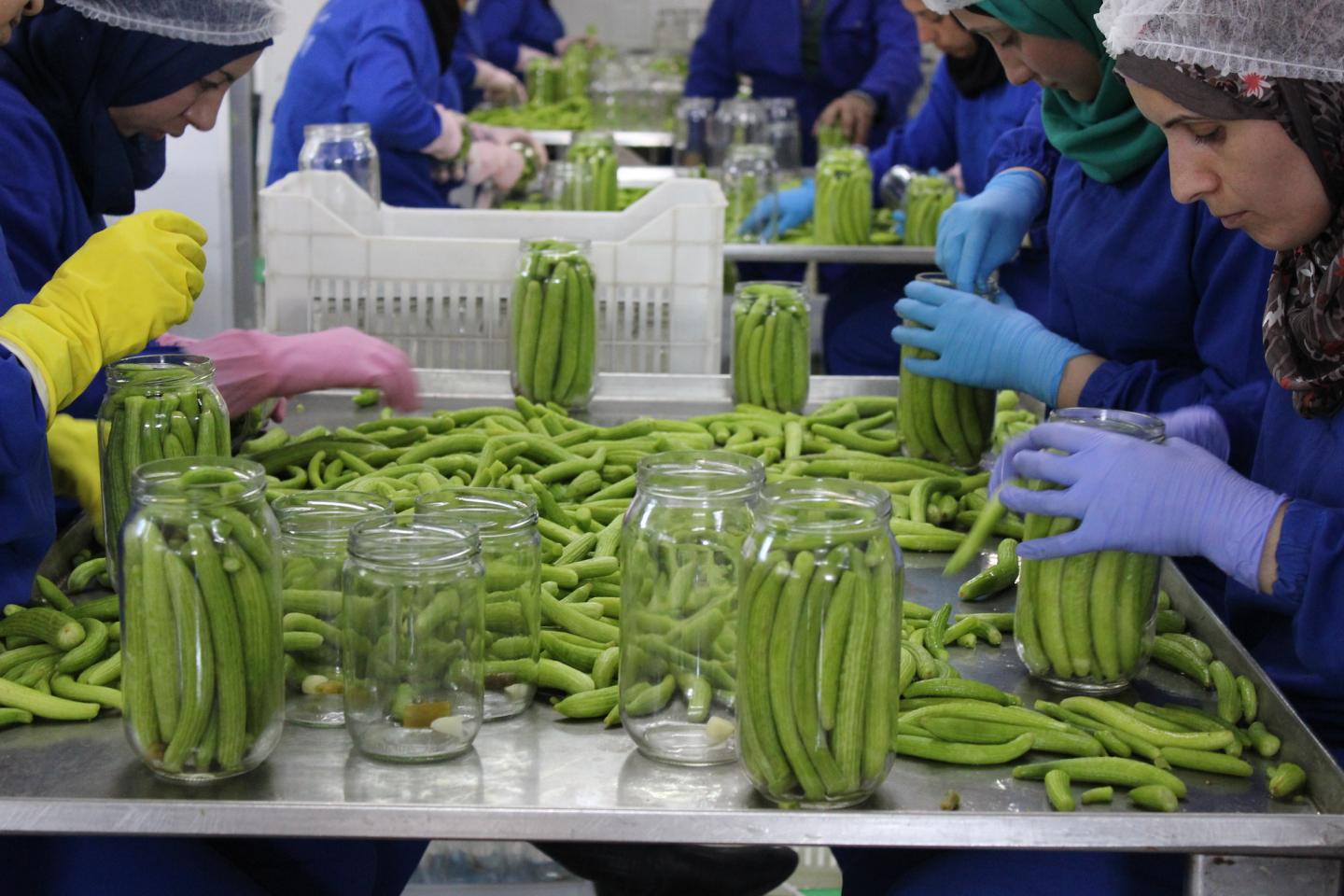 workers bottling vegetables
