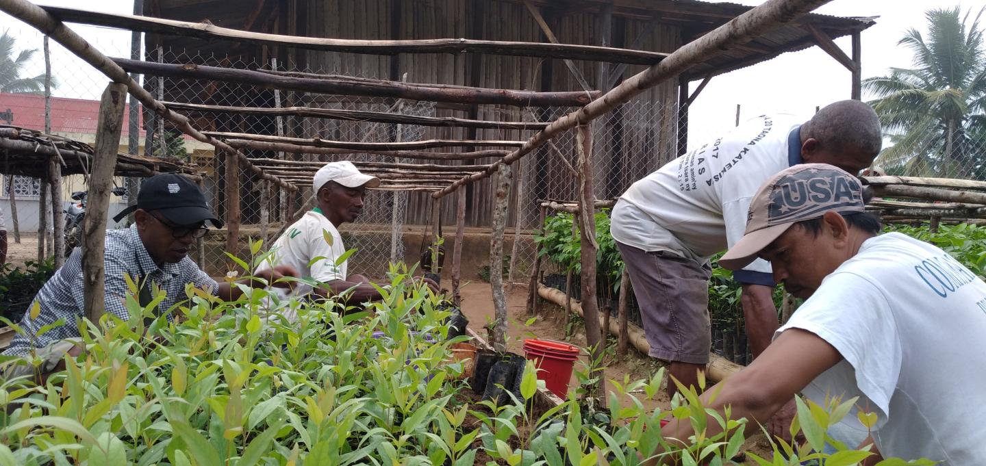 Farmers in Madagascar