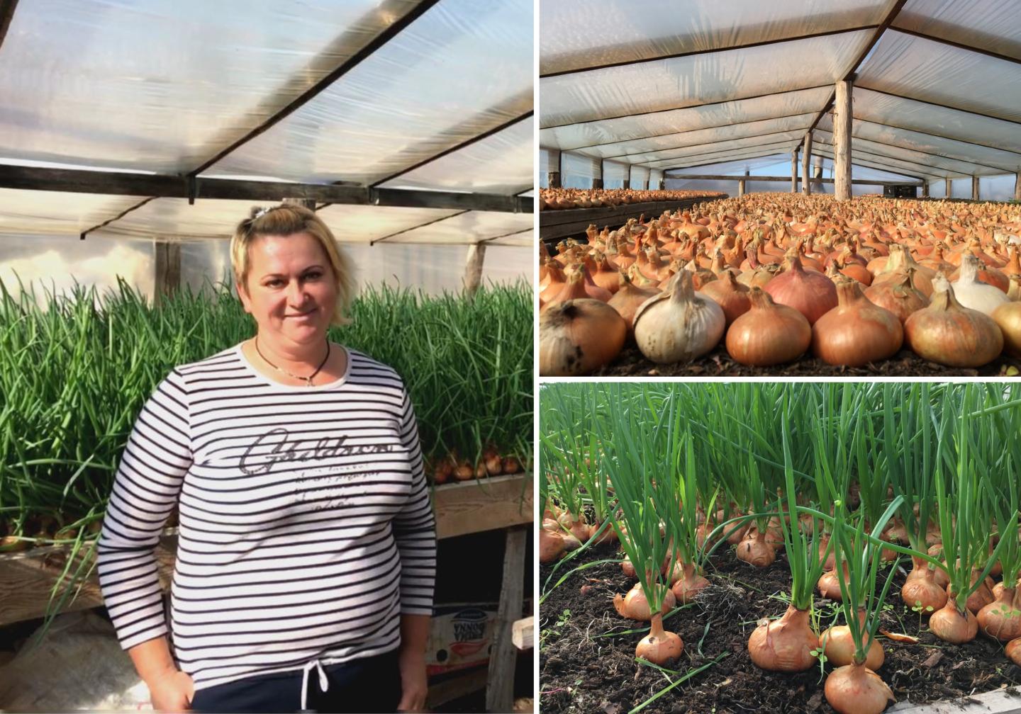 Onion farmer in Ukraine