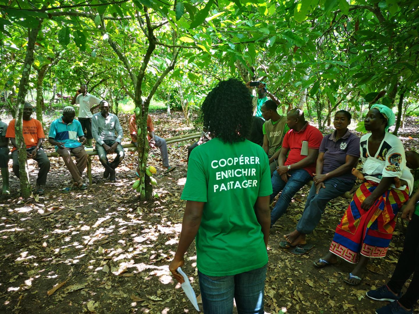 PROCED is being implemented in 3 different countries (Côte d'ivoire, Ghana, Sénégal)