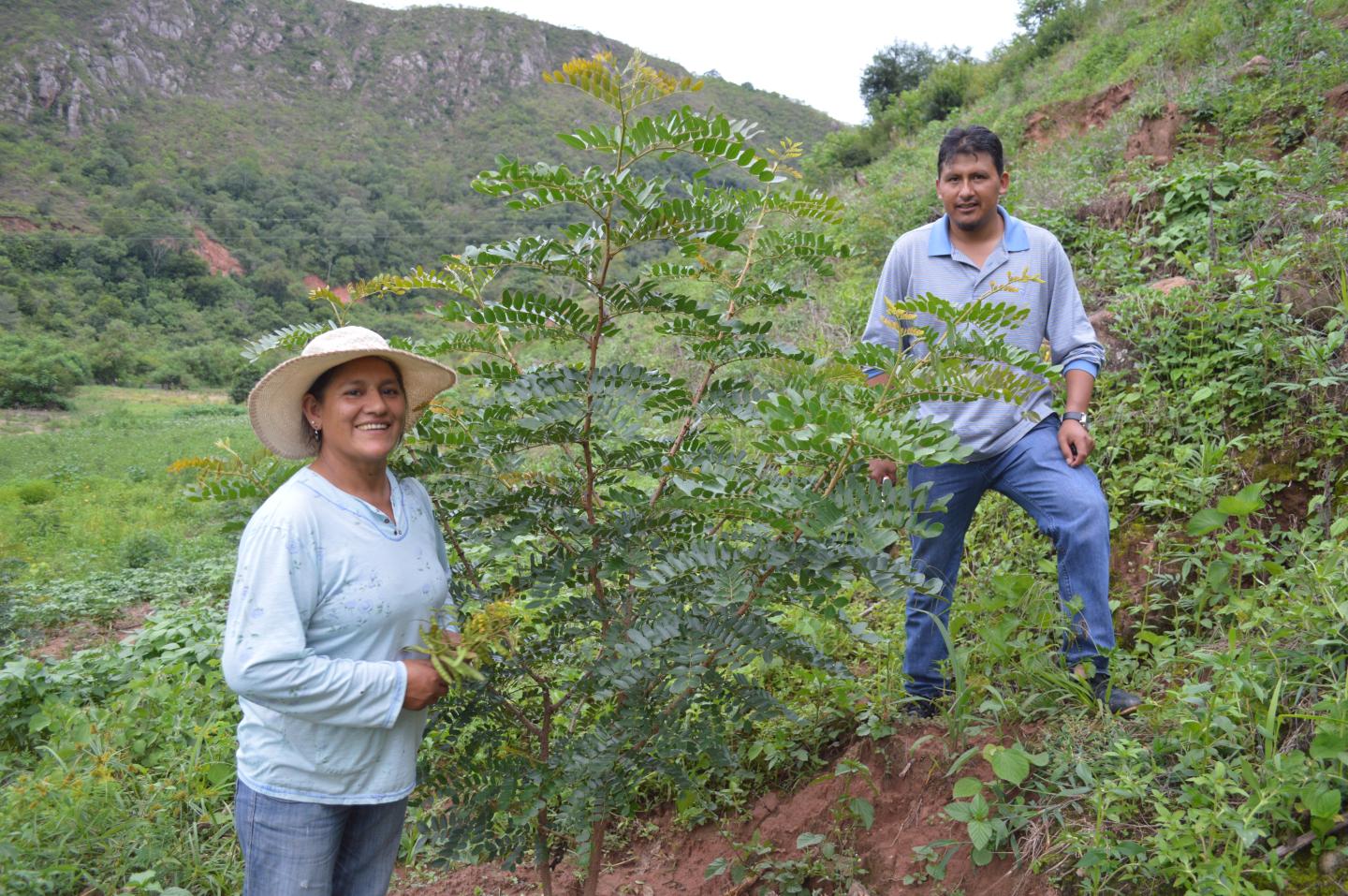 Multisectoral program to improve living conditions in rural Bolivia 