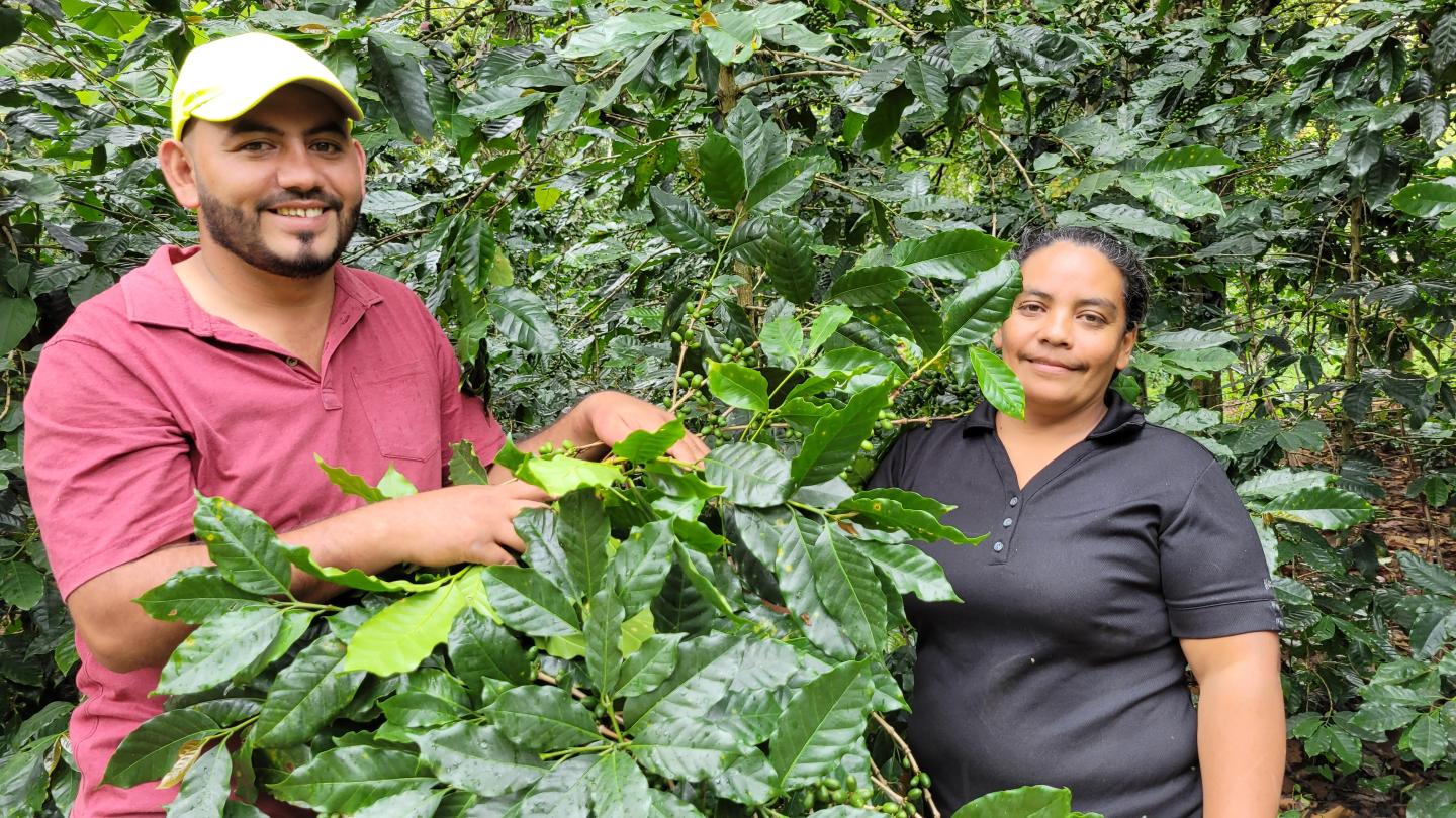 Empowering Women and Youth in the Coffee and Honey Value Chains