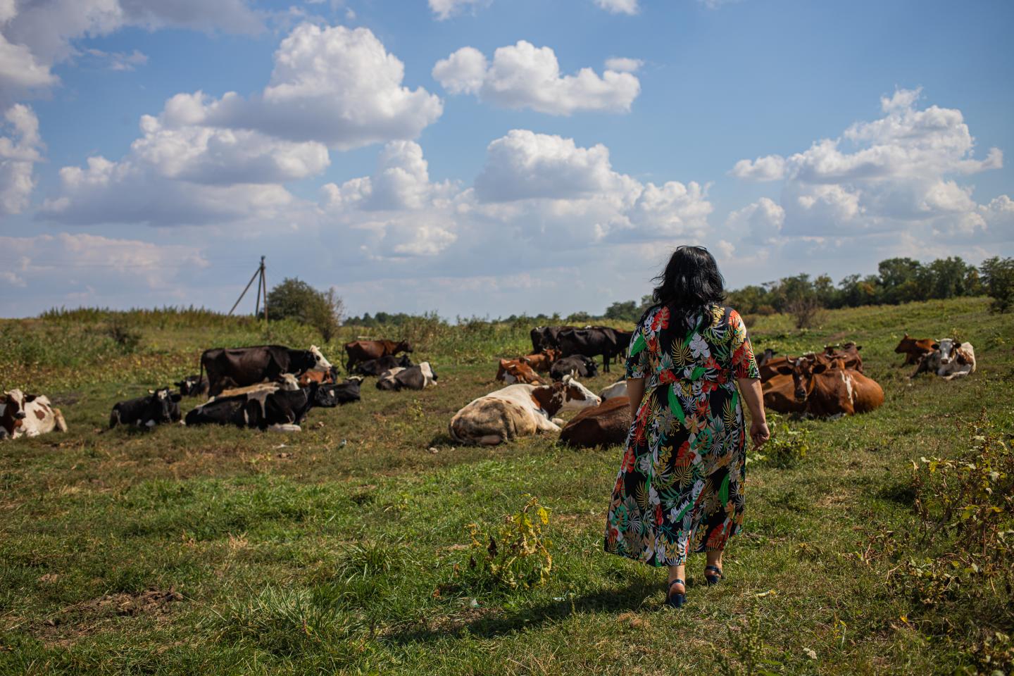 Ukraine Dairy Business Development Project