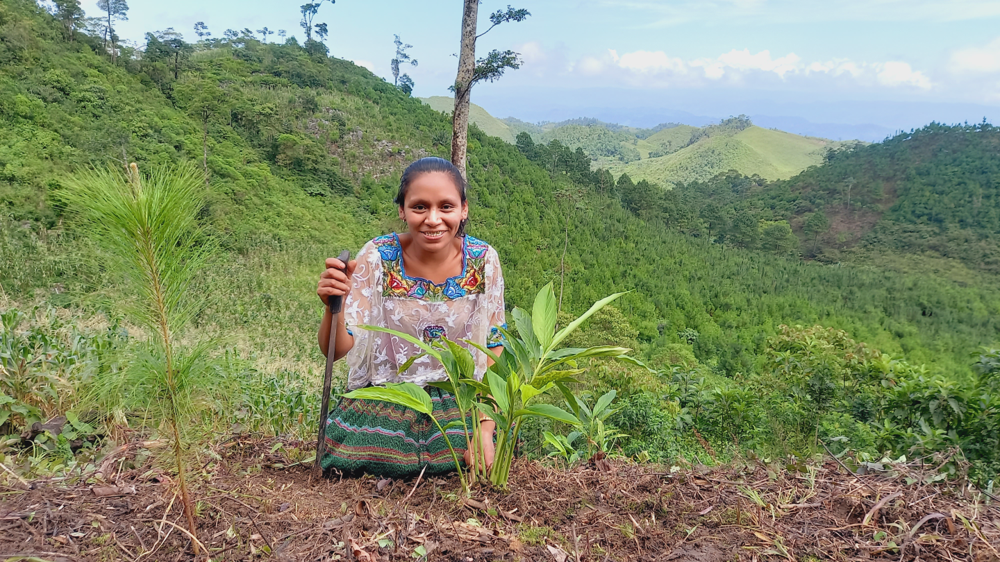 Sustainable economic growth for women and young people in Alta Verapaz 