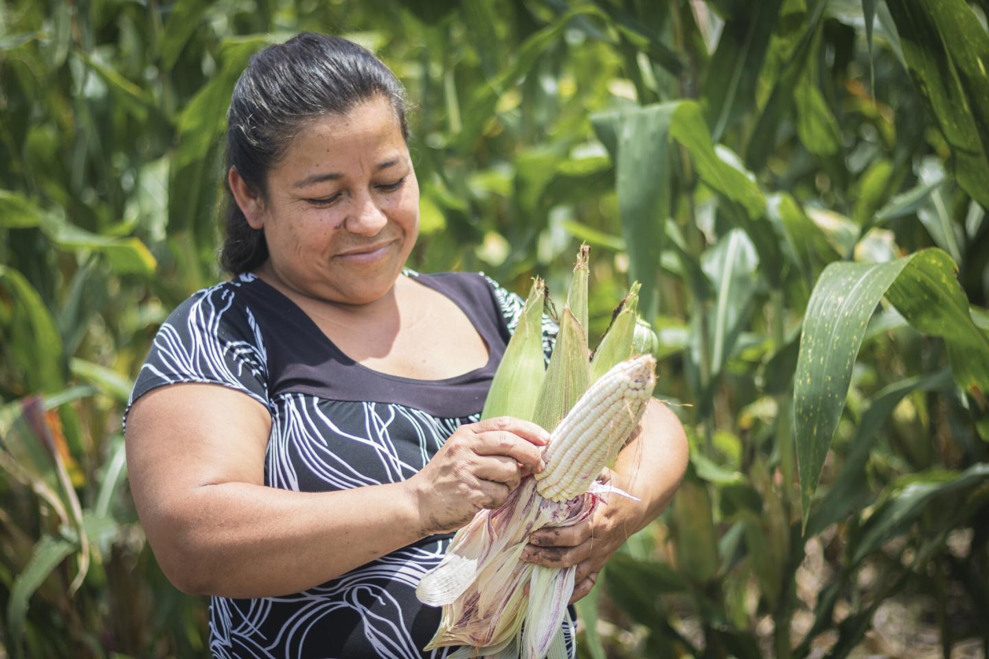 Organic farming