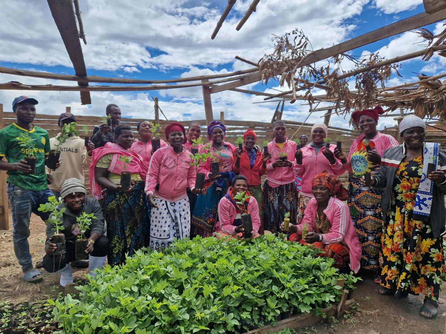 NADO farmer's group members in their tree seedlings nursery, Tanzania