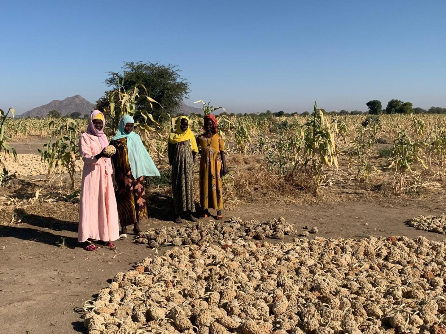 Women in a field in Chad
