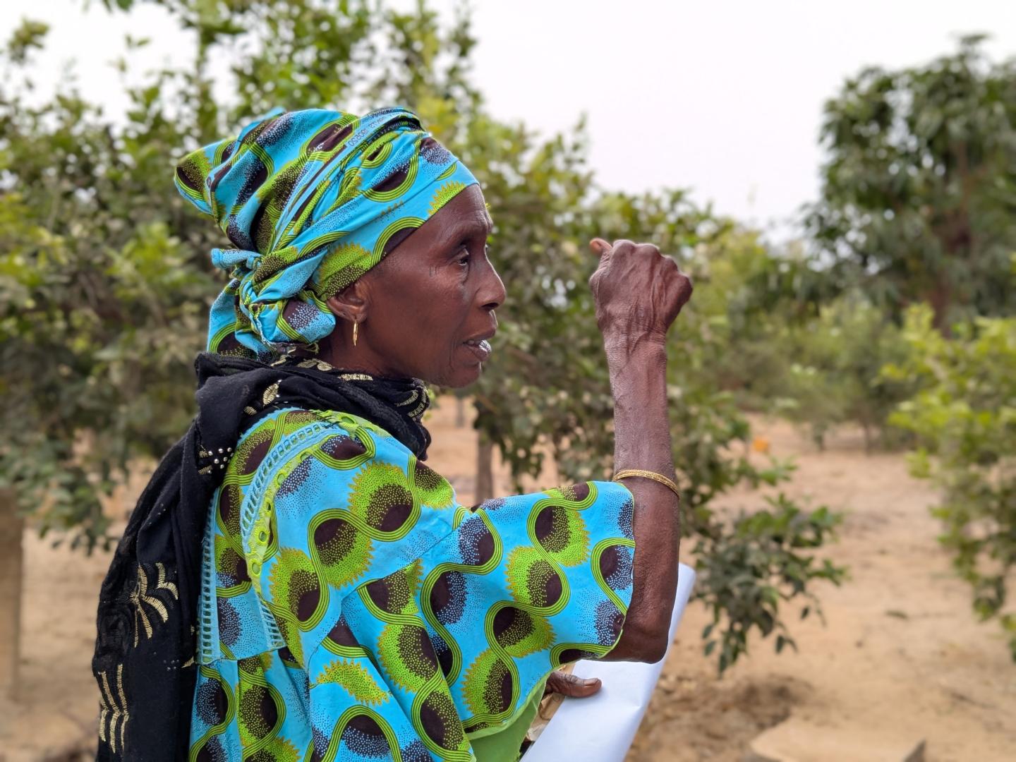 Woman producer in mango orchard