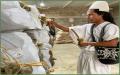 Producer in warehouse